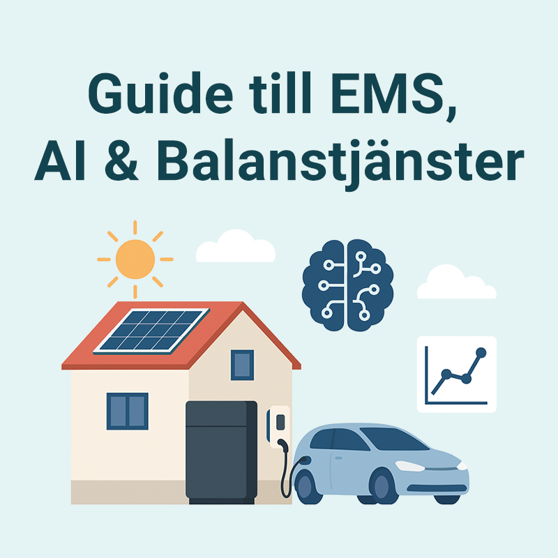Lär dig grunderna i EMS, AI och balanstjänster. Så kan batterilagring och energistyrning ge nya intäkter och effektivare elanvändning.