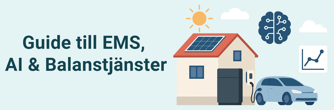 Guide: Så tjänar du pengar på EMS, AI och stödtjänster